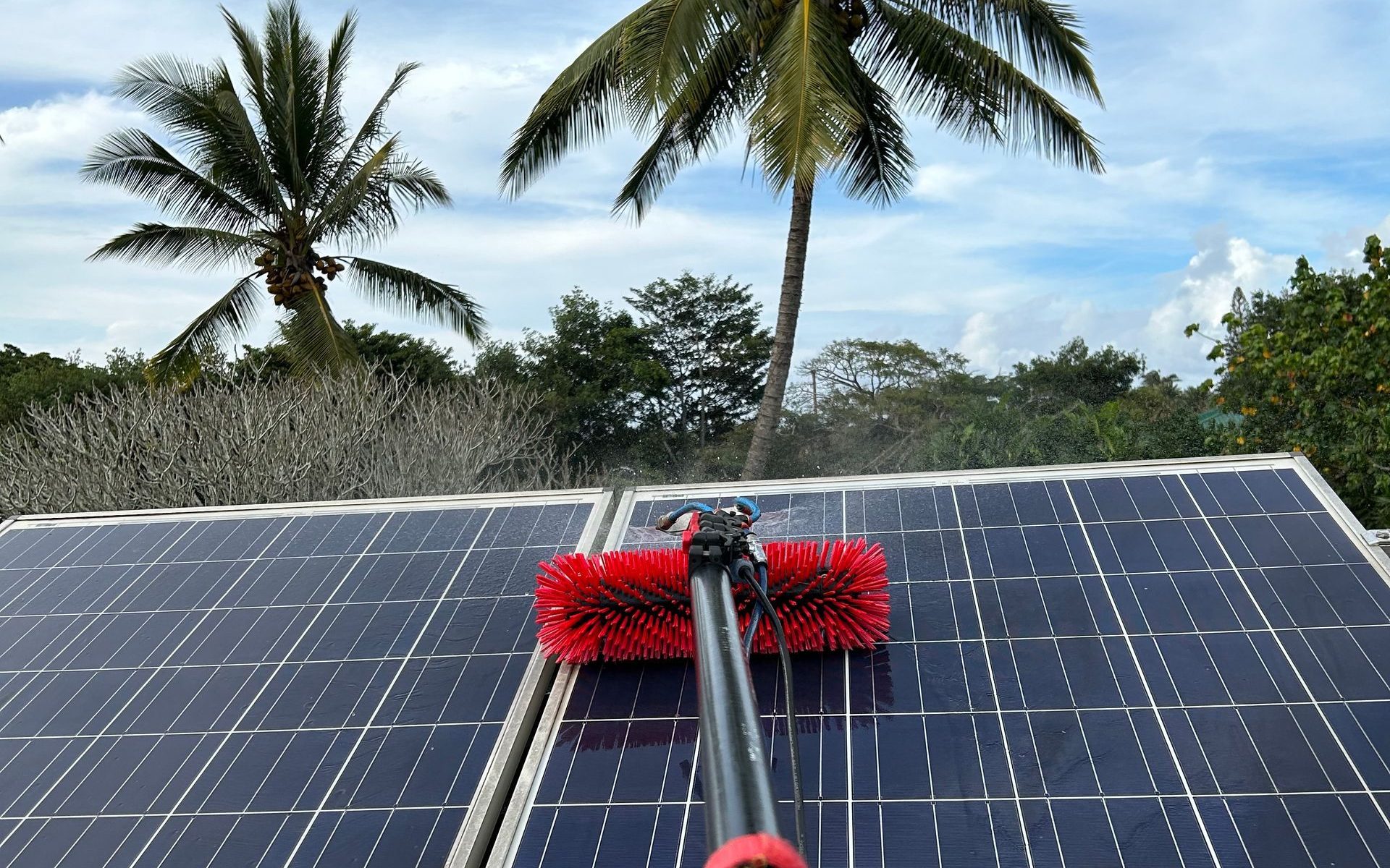 Solar panel being cleaned with a soft brush beneath coconut palms on Oahu, Hawaii