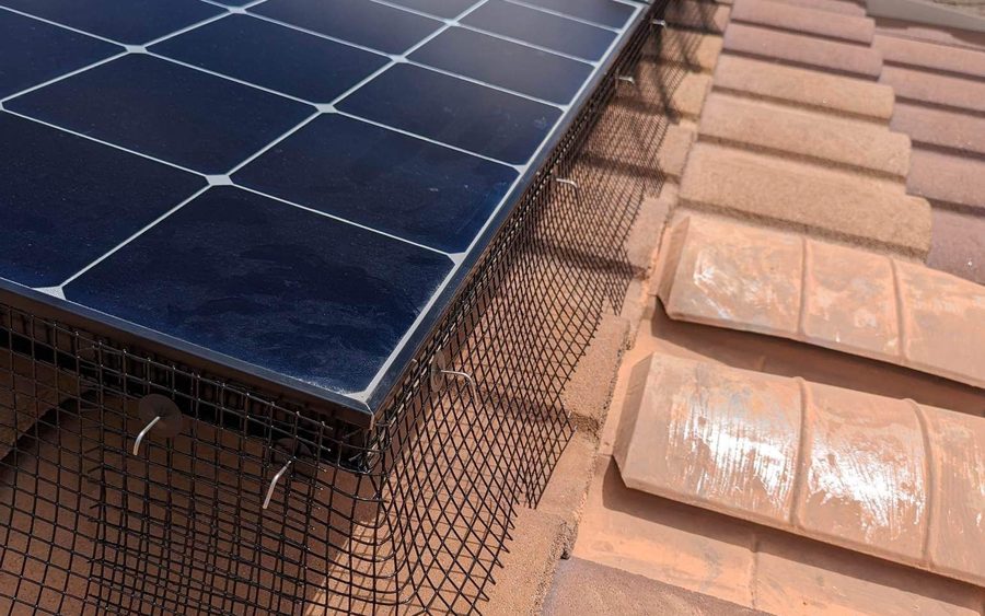Professional bird proofing mesh installed along the edge of a rooftop solar array